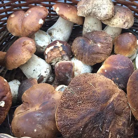 La Capanna Scopello (Piedmont)
