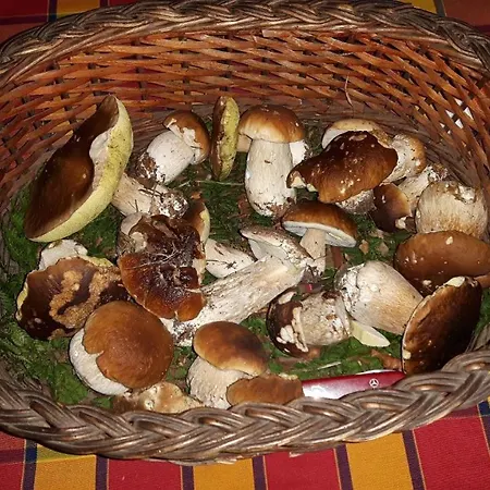 La Capanna